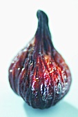 Dried fig (surreal)