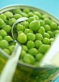 Opened tin of peas with spoon