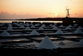Salt-works on Lanzarote (Spain)