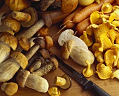 Assorted mushrooms, carrots and a knife on wooden background