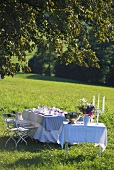Table laid for celebration in meadow