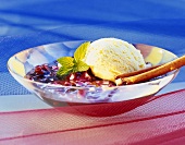 Hollerkoch (elderberry compote) with vanilla ice cream (Austria