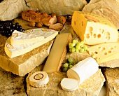 Still life with various types of cheese