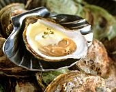 Oysters with champagne sabayon