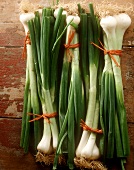 Five bunches of spring onions