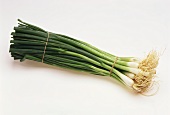 A bunch of spring onions
