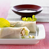 Two filled rice paper rolls