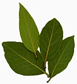 Four bay leaves