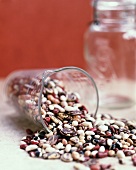 Assorted beans in front of a glass beaker (fallen over)