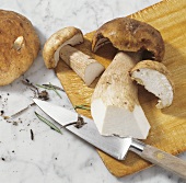 Cleaning ceps (cutting away remains of soil and needles)