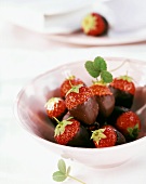 Healthy snack: strawberries with delicate chocolate coating