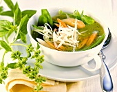 Spring soup with white asparagus
