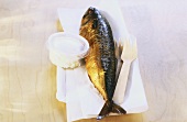Smoked fish with horseradish quark