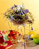 Witty arrangement of hyacinths