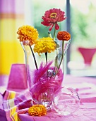 Flower quartet: dahlias, tagetes, zinnias in glass vase