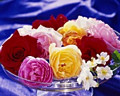 Arrangement of roses in a glass bowl