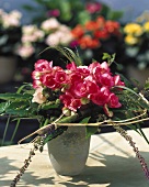 Begonias decorated with raffia, bamboo cane and grasses