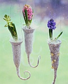 Window with hanging hyacinths