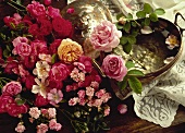 Various varieties of roses with stems and leaves