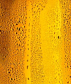 Glass of light beer in close-up
