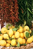 Zitronen & Pepperoni (Chillies) auf dem Markt in Italien