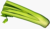 Celery