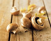 Button mushrooms on rustic wooden background