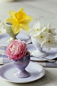 A rose, yellow and white narcissi in eggcups