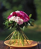Standing bouquet of Sweet Williams
