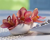 Orchids in white bowl