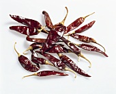 Chilischoten 'Chile guajillo', getrocknet