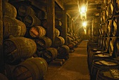 Wine cellar, Bodegas Lopez de Heredia, Rioja Alta, Spain