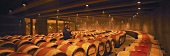 Wine cellar of famous Opus One winery, Oakville, California