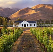 Gut Fairhall Downs, Brancott Valley, Marlborough, Neuseeland