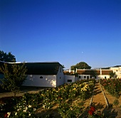 L'Ormarins Wine Estate, founded 1694, Franschhoek, S. Africa