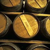 Oak barrels in Gaja wine cellar, Barbaresco, Piedmont, Italy