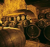 Traditional wine cellar, Castel Schwanburg, Nals, S. Tyrol