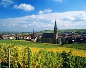 View of Birkweiler (Rhine Palatinate, Germany)