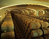 Weinkeller der Bodega Marqués de Cáceres, Rioja, Spanien