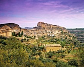Somontano, Spanish wine region in Aragón