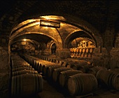 Winery in Curico, Chile