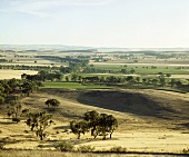 Clare Valley, Weinanbaugebiet in South Australia, Australien