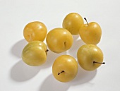Several mirabelles (Prunus domestica ssp. syriaca)