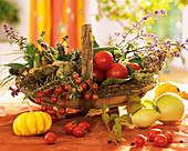 Korb mit Tomaten, Zucchini, Kartoffeln, Basilikum & Rosmarin