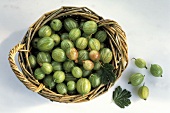 Several Gooseberries in a Basket