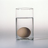An Egg in a Glass of Water