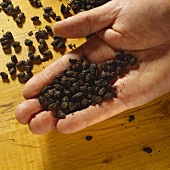 Viele fermentierte schwarze Bohnen auf einer Hand