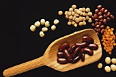 Various pulses with wooden scoop