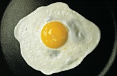 One Fried Egg in a Pan