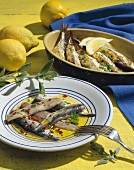 Sarde ripiene e sarde sott'olio (appetisers with sardines)